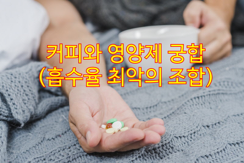 커피와 영양제 궁합 (흡수율 최악의 조합)